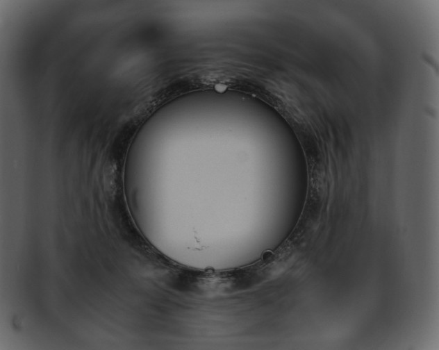 X0000093390319200710191159