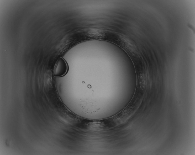 X0000093390320200710191159