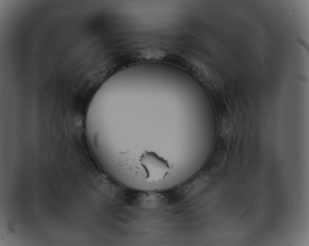 X0000093390321200710191159