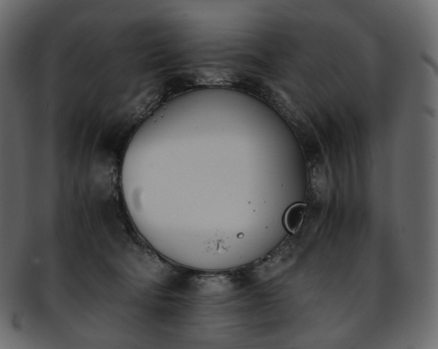 X0000093390322200710191159