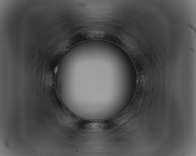 X0000093390323200710191159