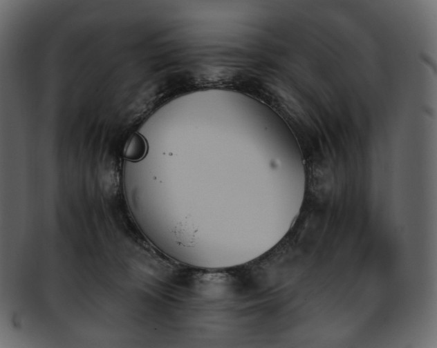 X0000093390324200710191159