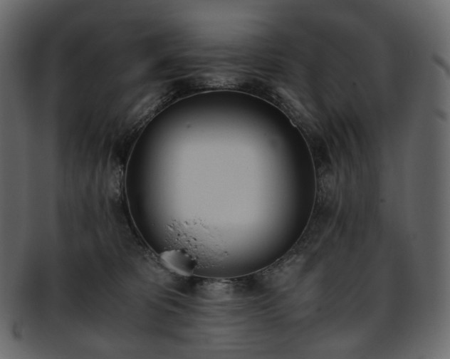 X0000093390325200710191159