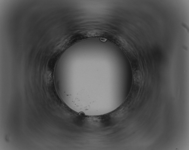 X0000093390327200710191159