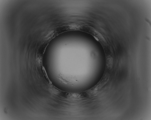 X0000093390329200710191159