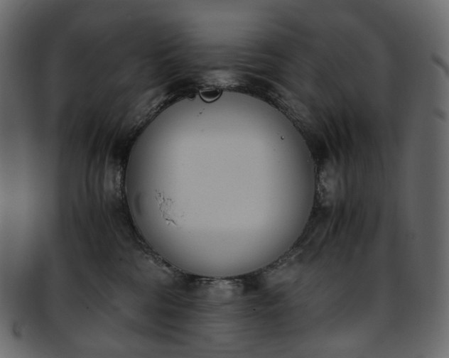 X0000093390330200710191159