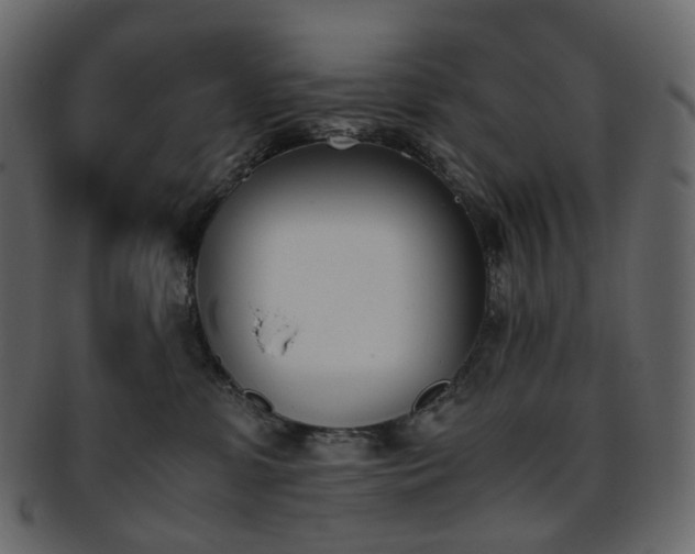 X0000093390331200710191159