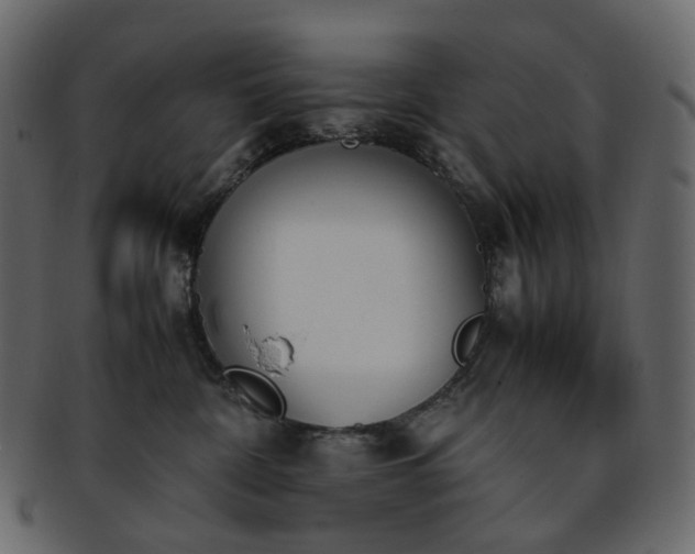 X0000093390332200710191159