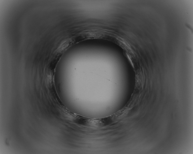 X0000093390333200710191158