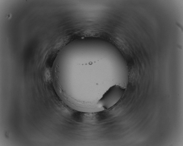 X0000093390335200710191158