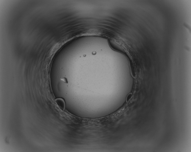 X0000093390337200710191158