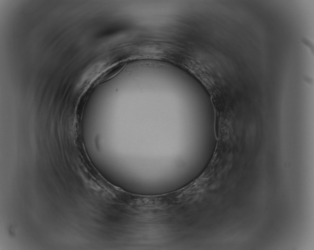 X0000093390338200710191158