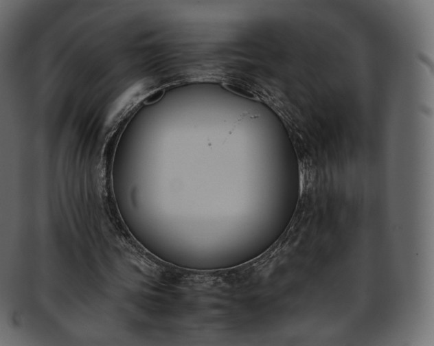 X0000093390339200710191158