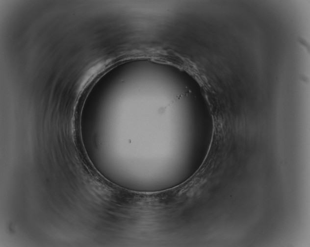 X0000093390340200710191158