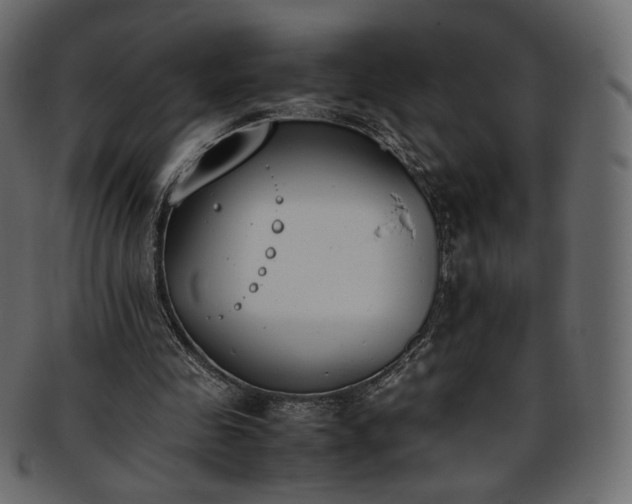 X0000093390341200710191158