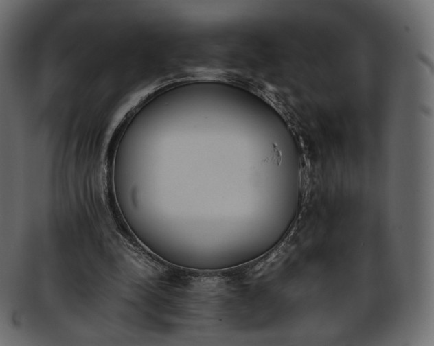 X0000093390342200710191158