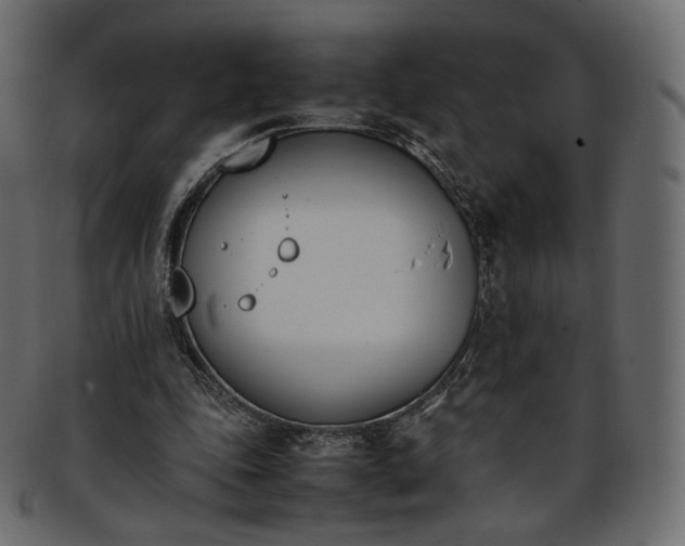 X0000093390343200710191158