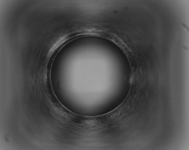 X0000093390344200710191158