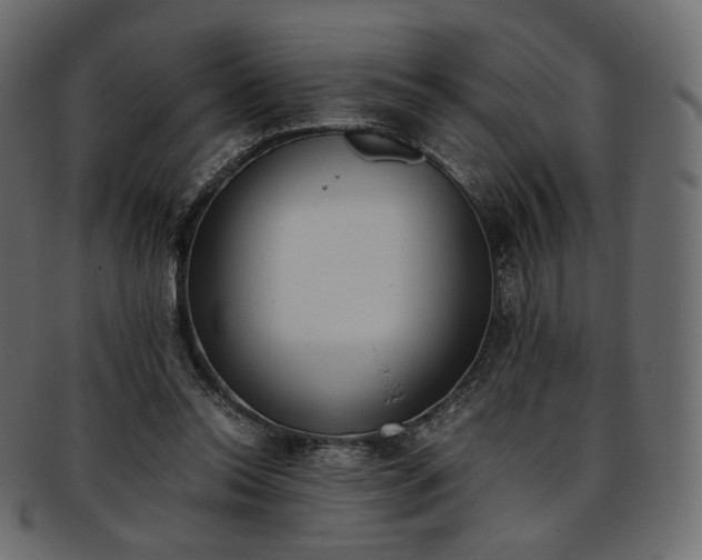 X0000093390350200710191158