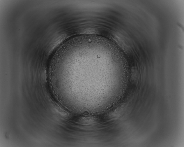 X0000093390351200710191158