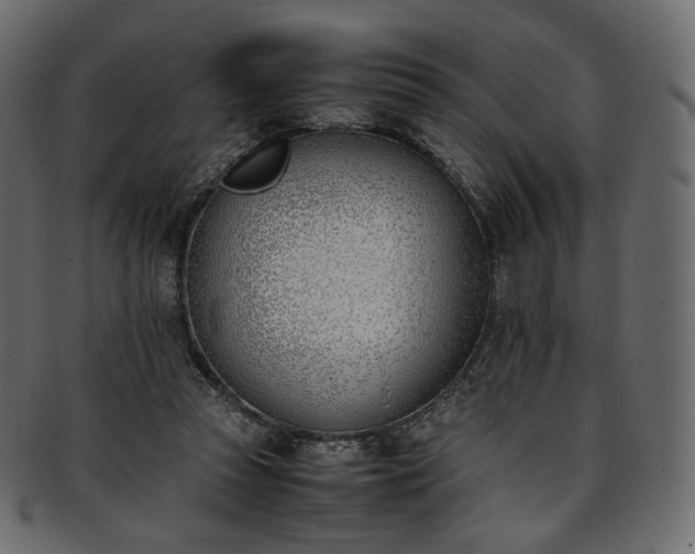 X0000093390353200710191158