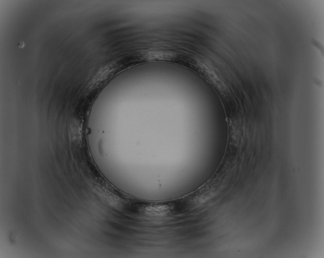 X0000093390357200710191158