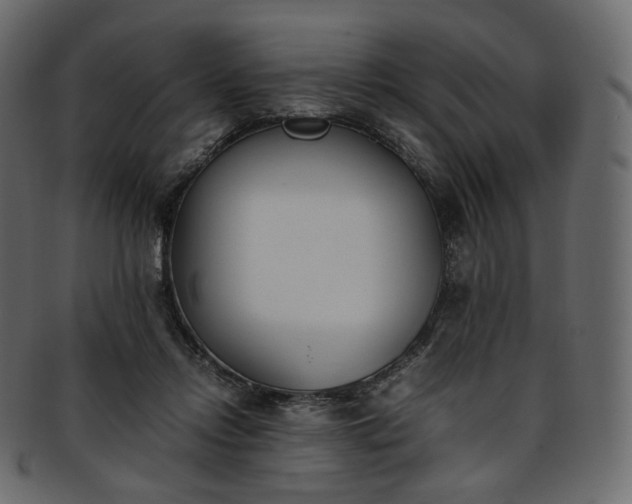 X0000093390358200710191158