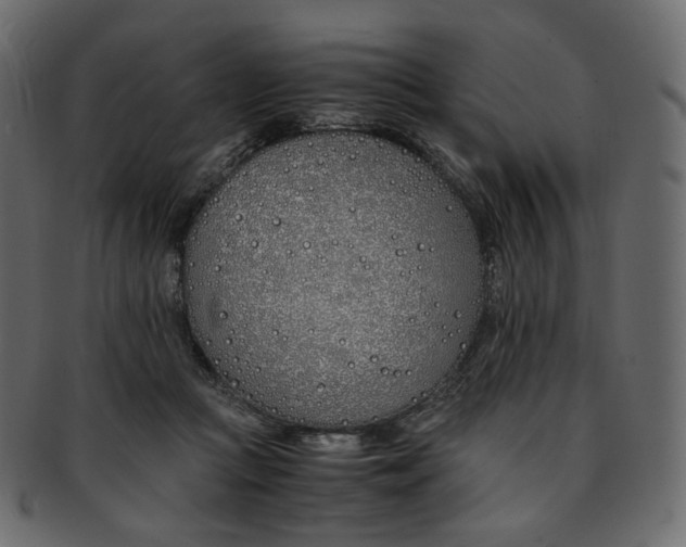 X0000093390361200710191158