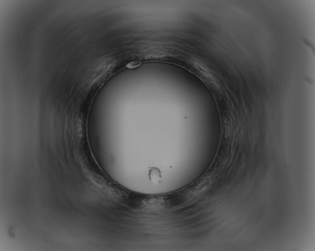 X0000093390362200710191158