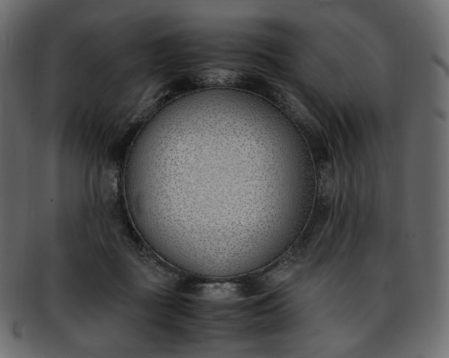 X0000093390363200710191158