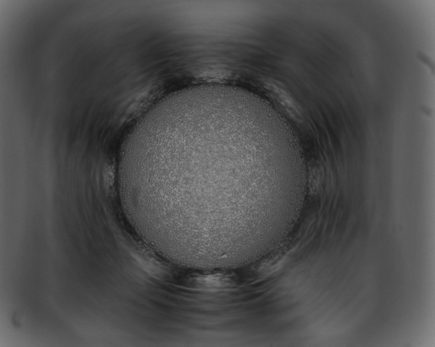 X0000093390365200710191158