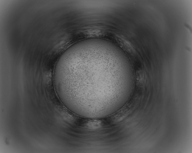 X0000093390369200710191158