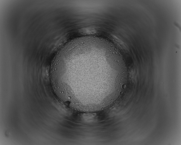 X0000093390373200710191158