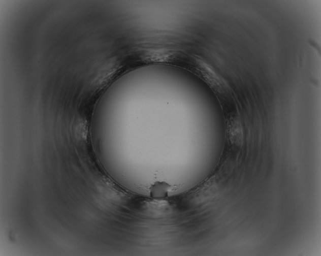 X0000093390374200710191158