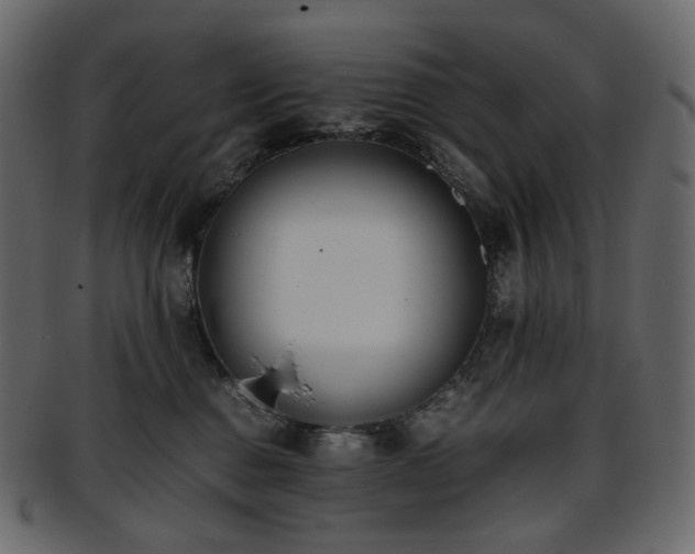 X0000093390376200710191158