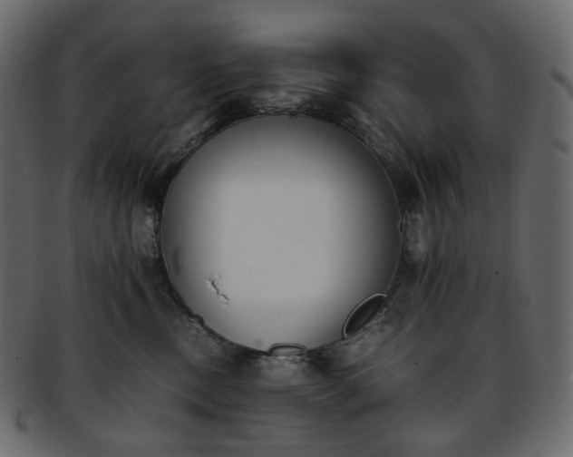 X0000093390378200710191158