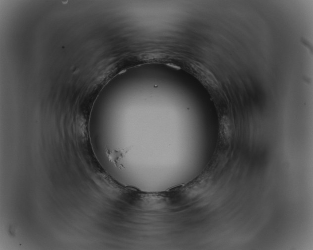 X0000093390380200710191158