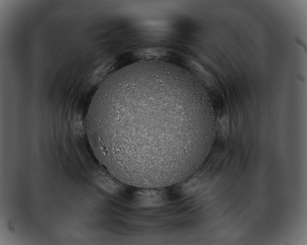 X0000093390381200710191158