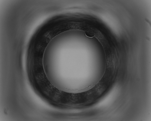 X0000093390383200710191158