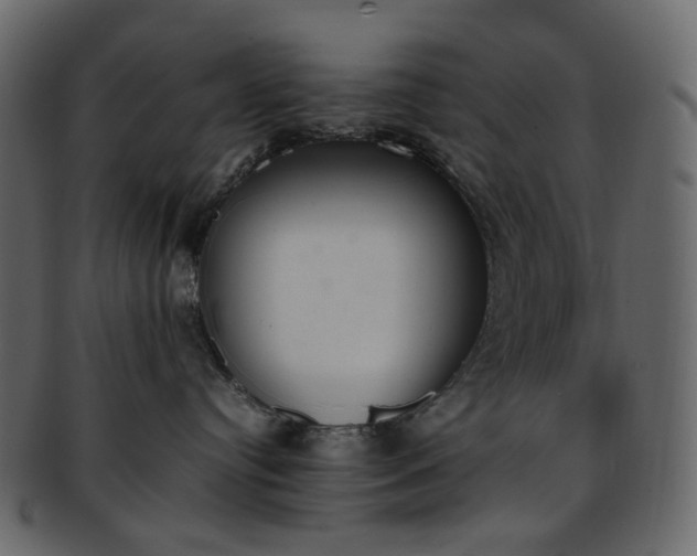 X0000093390384200710191158