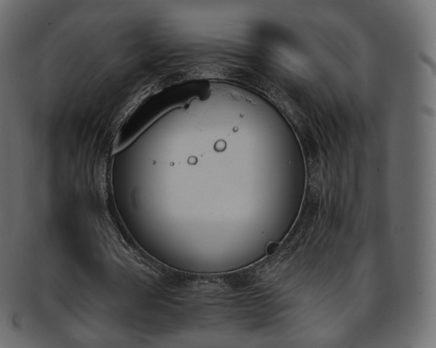 X0000093390386200710191158