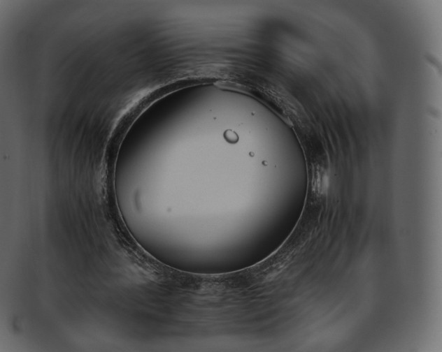 X0000093390388200710191158