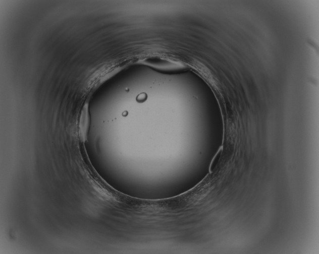 X0000093390389200710191158