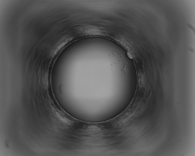 X0000093390390200710191158