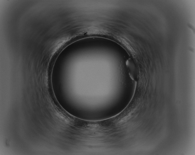 X0000093390391200710191158