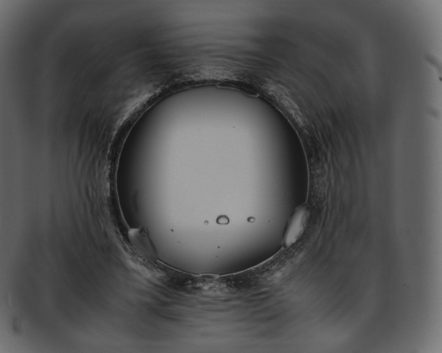 X0000093390395200710191158