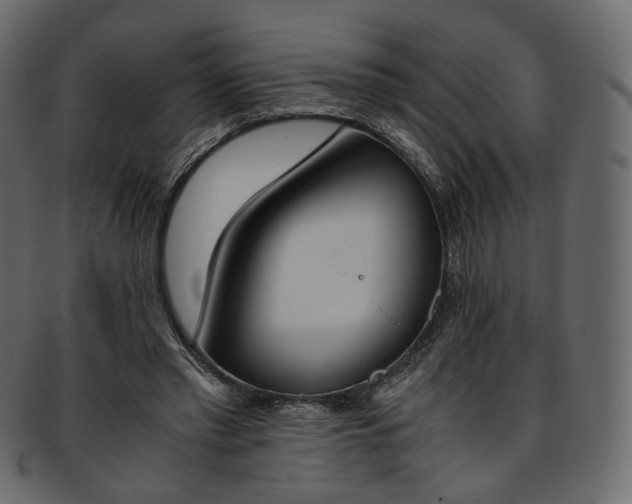 X0000093390397200710191158