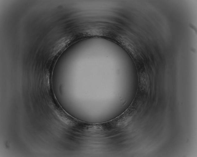 X0000093390398200710191158