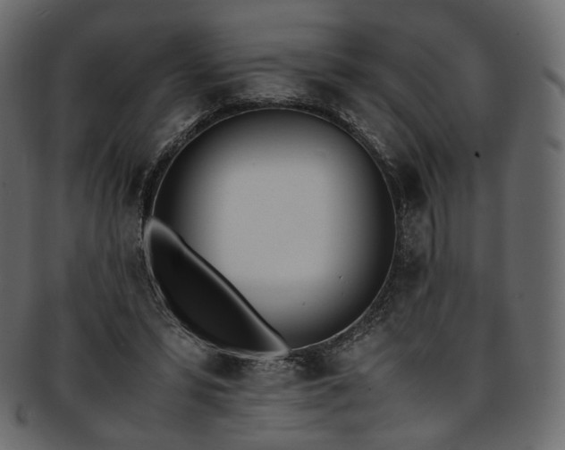 X0000093390399200710191158