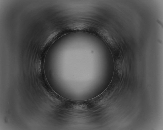 X0000093390400200710191158